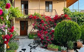 vardzia Guesthouse Mtkvari